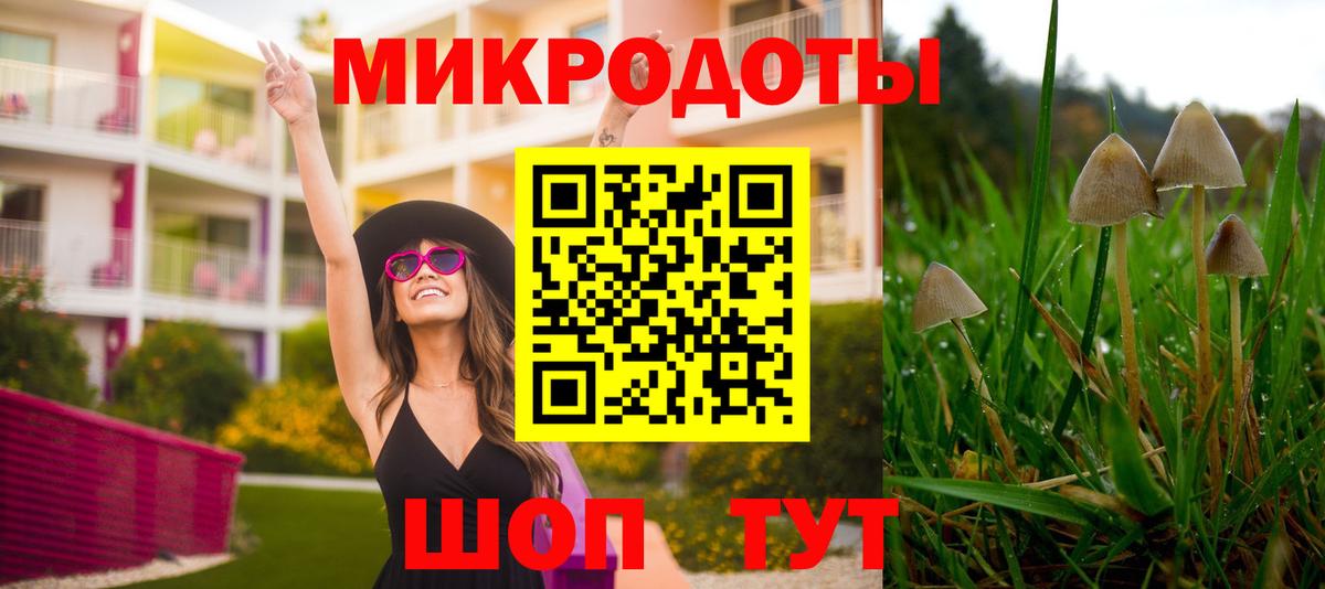 Апатиты  купить   Вход с VPN  Галлюциногенные грибы Cubensis 